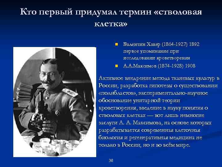 Кто первый придумал термин «стволовая клетка» n n n Валентин Хакер (1864 -1927) 1892