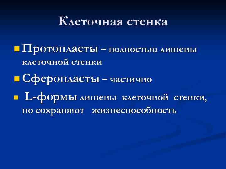 Клеточная стенка n Протопласты – полностью лишены клеточной стенки n Сферопласты – частично n