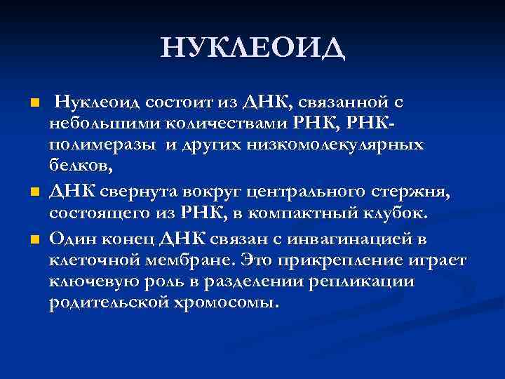 НУКЛЕОИД n n n Нуклеоид состоит из ДНК, связанной с небольшими количествами РНК, РНКполимеразы