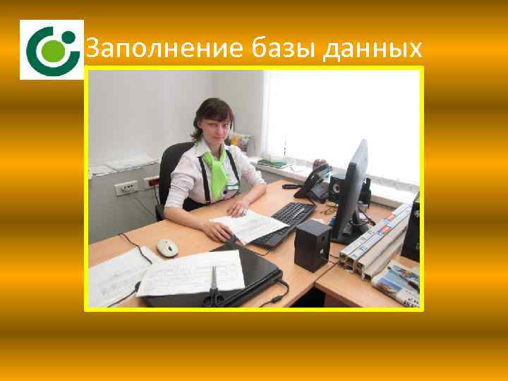 Заполнение базы данных 