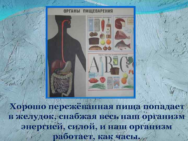  Хорошо пережёванная пища попадает в желудок, снабжая весь наш организм энергией, силой, и