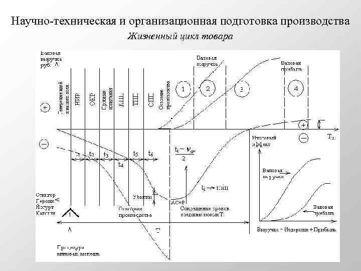 Научно-техническая и организационная подготовка производства Жизненный цикл товара 