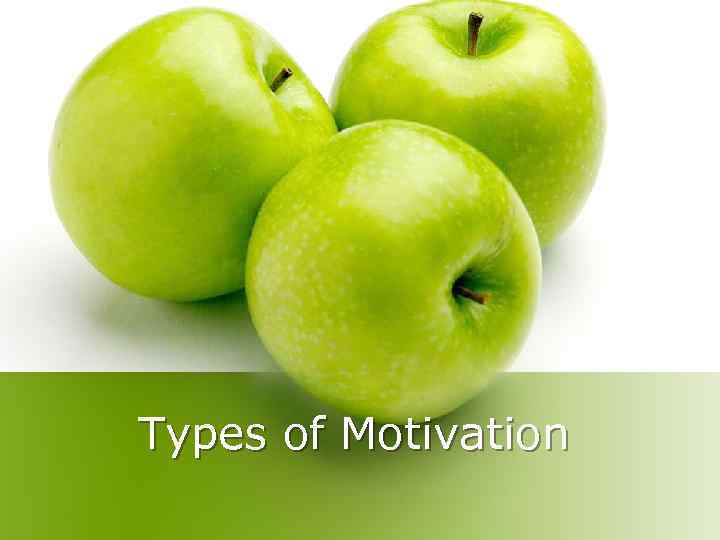 Types of Motivation 