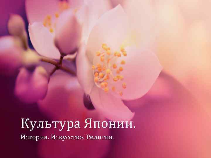 Культура Японии. История. Искусство. Религия. 