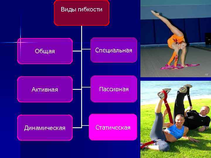 Виды гибкости Общая Специальная Активная Пассивная Динамическая Статическая 