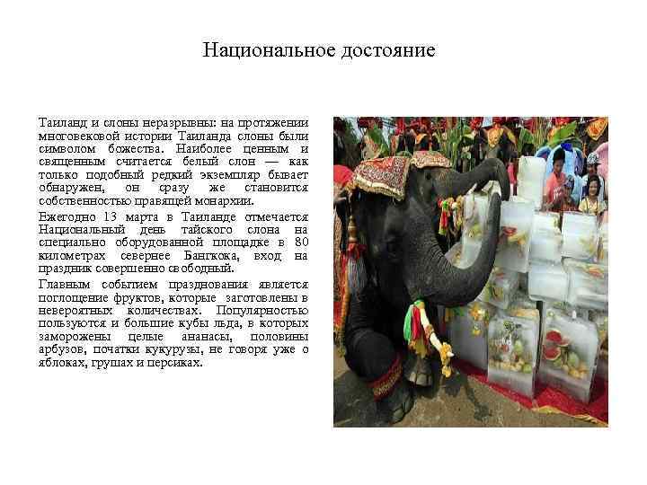 Национальное достояние Таиланд и слоны неразрывны: на протяжении многовековой истории Таиланда слоны были символом