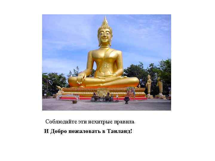 Соблюдайте эти нехитрые правила И Добро пожаловать в Таиланд! 