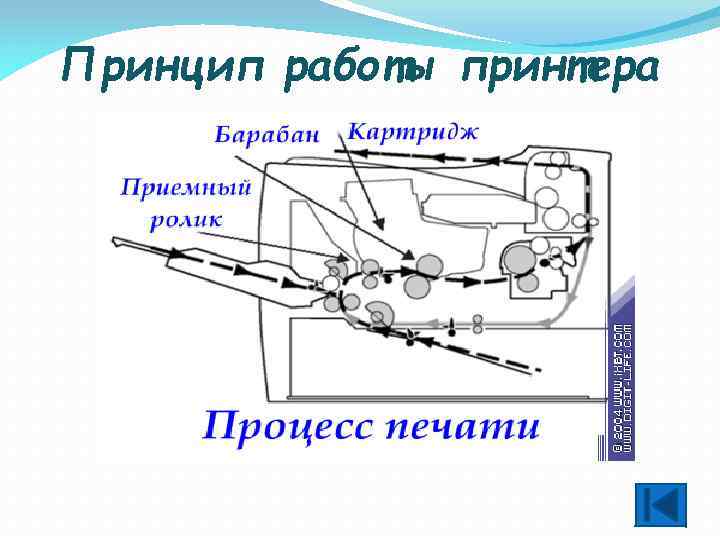 Принцип работы принтера 