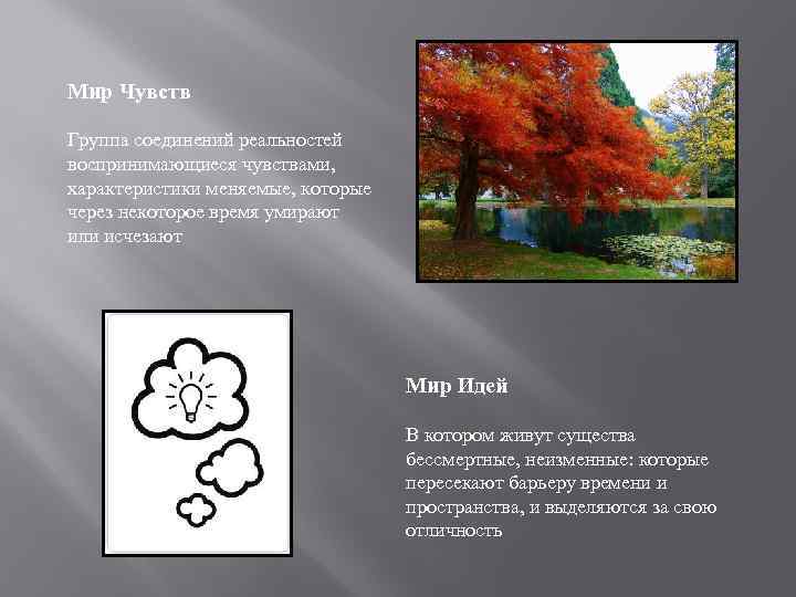 Мир Чувств Группа соединений реальностей воспринимающиеся чувствами, характеристики меняемые, которые через некоторое время умирают