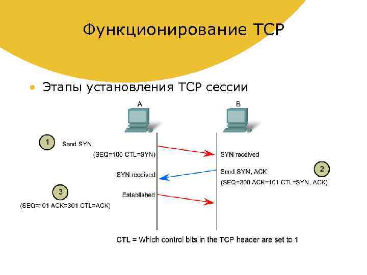 Механизм сессий. Установление TCP соединения. Установление TCP сессии.