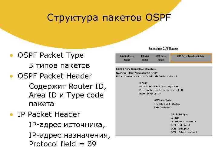 Структура пакетов OSPF • OSPF Packet Type 5 типов пакетов • OSPF Packet Header