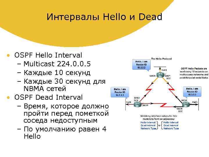 Интервалы Hello и Dead • OSPF Hello Interval – Multicast 224. 0. 0. 5