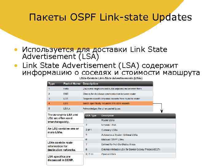 Пакеты OSPF Link-state Updates • Используется для доставки Link State Advertisement (LSA) • Link