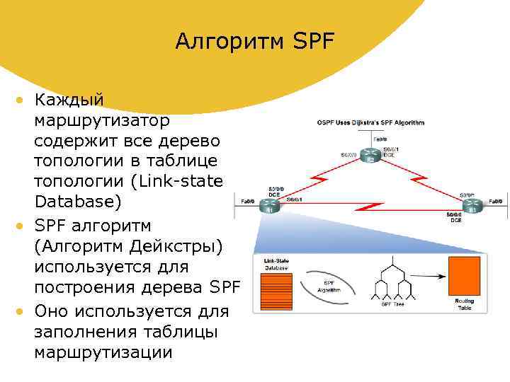 Алгоритм SPF • Каждый маршрутизатор содержит все дерево топологии в таблице топологии (Link-state Database)