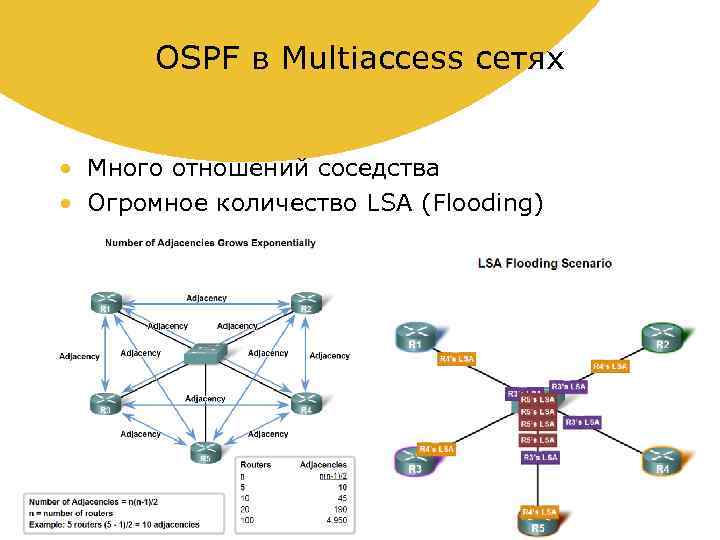 OSPF в Multiaccess сетях • Много отношений соседства • Огромное количество LSA (Flooding) 