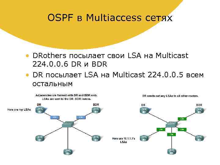 OSPF в Multiaccess сетях • DRothers посылает свои LSA на Multicast 224. 0. 0.