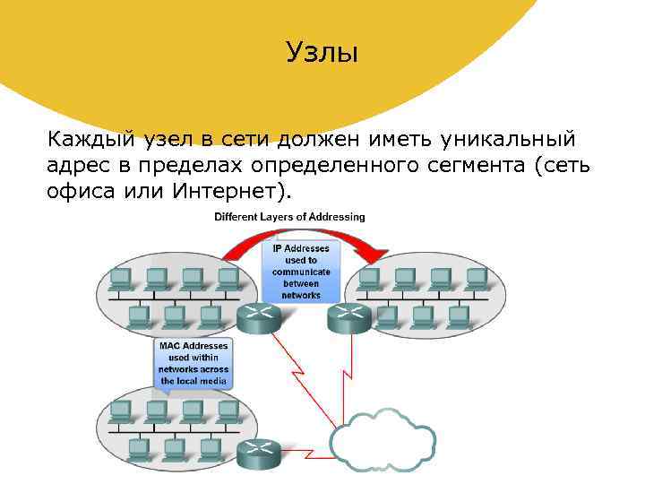 Сегмент сети интернет