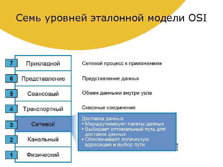 Семь уровней эталонной модели OSI 