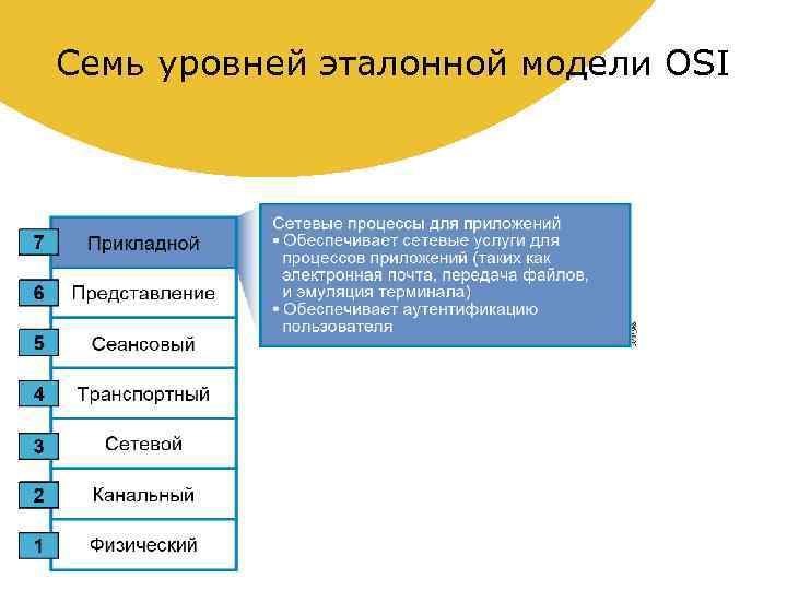 Семь уровней эталонной модели OSI 