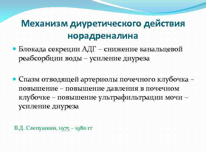 Механизм диуретического действия норадреналина Блокада секреции АДГ – снижение канальцевой реабсорбции воды – усиление
