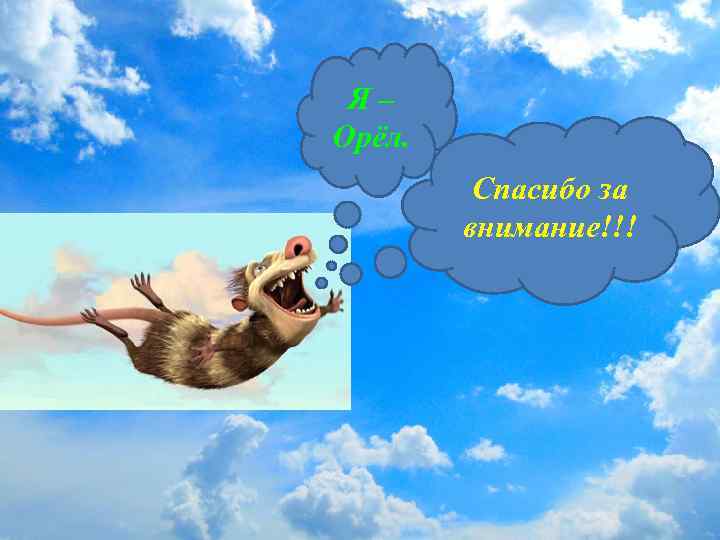 Я – Орёл. Спасибо за внимание!!! 