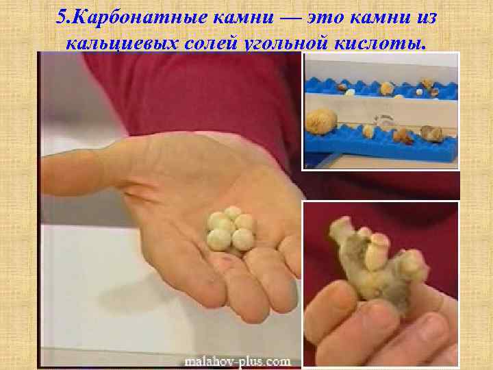 5. Карбонатные камни — это камни из кальциевых солей угольной кислоты. 