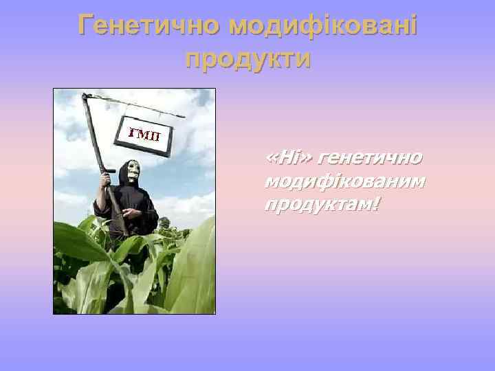 Генетично модифіковані продукти «Ні» генетично модифікованим продуктам! 