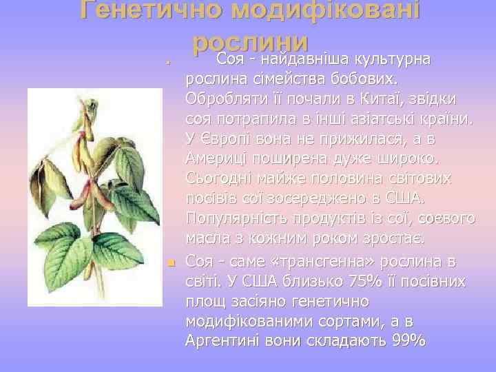 Генетично модифіковані рослини культурна Соя - найдавніша n n рослина сімейства бобових. Обробляти її