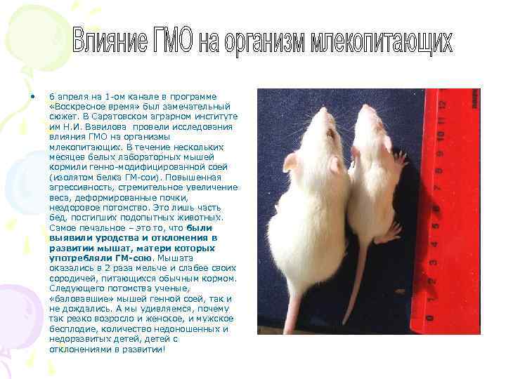  • 6 апреля на 1 -ом канале в программе «Воскресное время» был замечательный