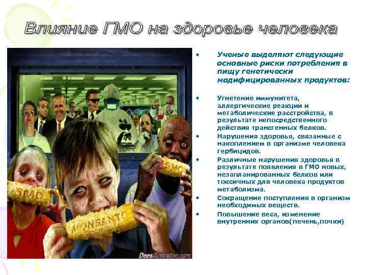  • Ученые выделяют следующие основные риски потребления в пищу генетически модифицированных продуктов: •