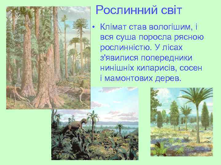 Рослинний світ • Клімат став вологішим, і вся суша поросла рясною рослинністю. У лісах