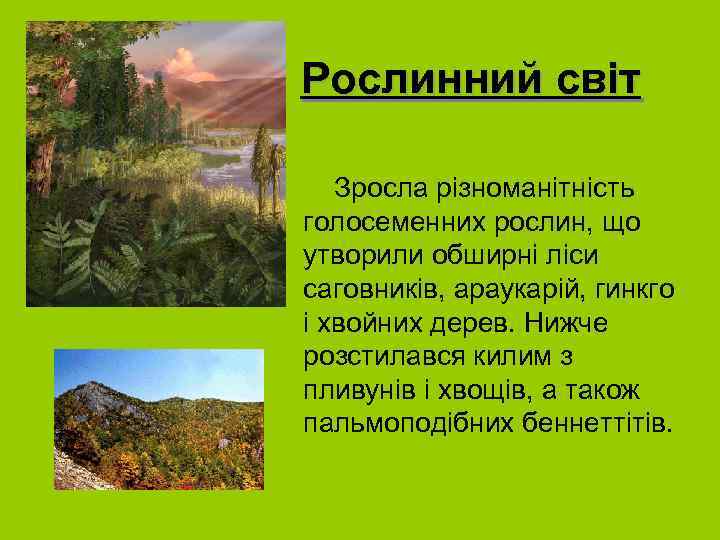 Рослинний світ • Зросла різноманітність голосеменних рослин, що утворили обширні ліси саговників, араукарій, гинкго