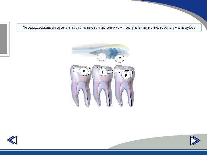 Фторсодержащая зубная паста является источником поступления ион фтора в эмаль зубов F F F