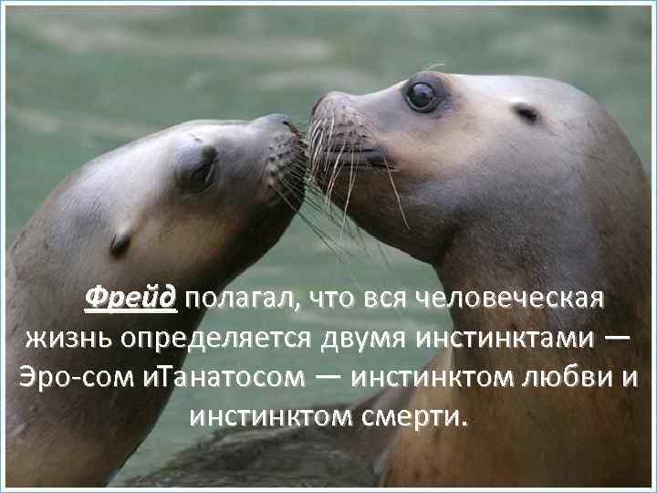 Фрейд полагал, что вся человеческая жизнь определяется двумя инстинктами — Эро сом и. Танатосом