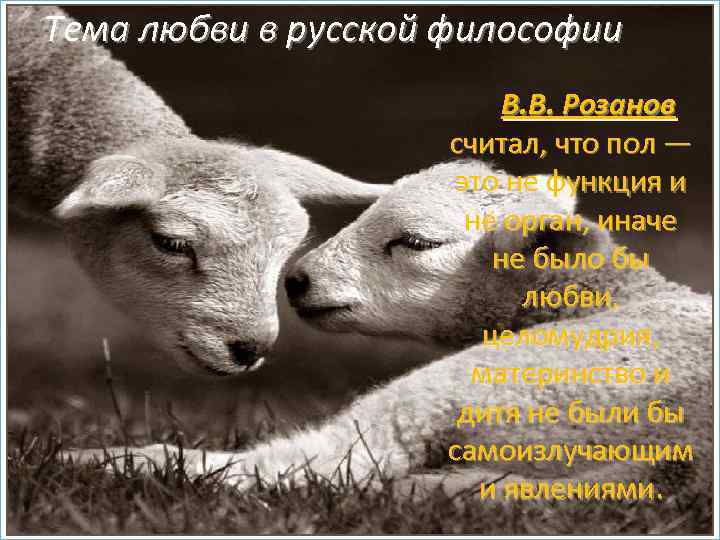 Тема любви в русской философии В. В. Розанов считал, что пол — это не