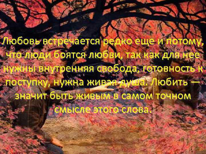 Любовь встречается редко еще и потому, что люди боятся любви, так как для нее