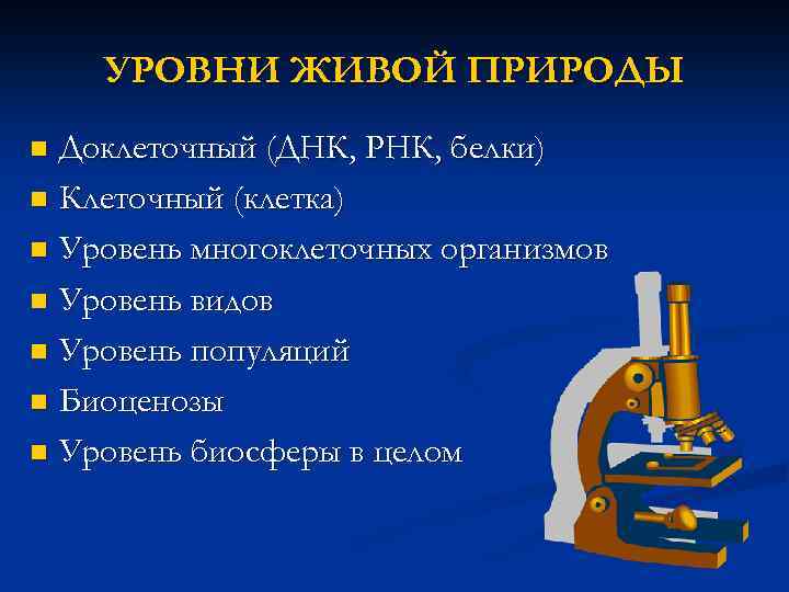 УРОВНИ ЖИВОЙ ПРИРОДЫ Доклеточный (ДНК, РНК, белки) n Клеточный (клетка) n Уровень многоклеточных организмов