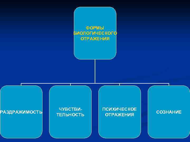 ФОРМЫ БИОЛОГИЧЕСКОГО ОТРАЖЕНИЯ РАЗДРАЖИМОСТЬ ЧУВСТВИТЕЛЬНОСТЬ ПСИХИЧЕСКОЕ ОТРАЖЕНИЯ СОЗНАНИЕ 