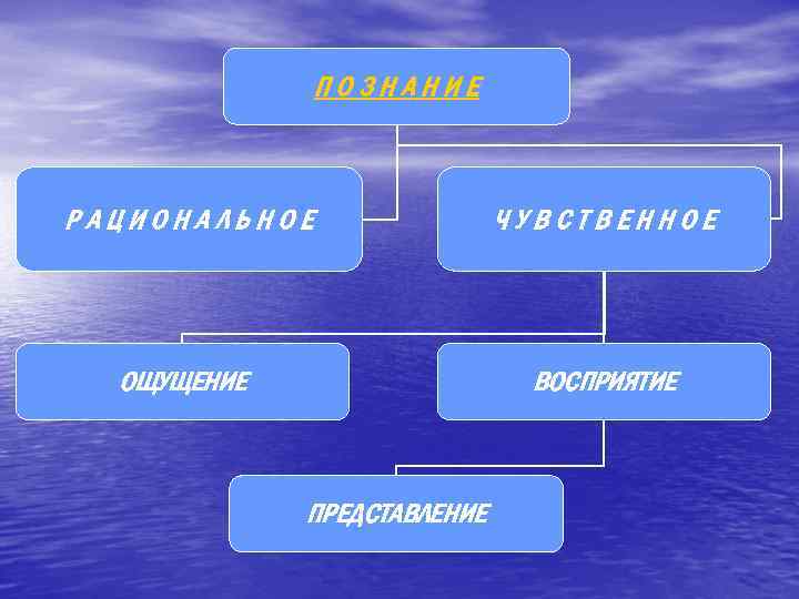 ПОЗНАНИЕ РАЦИОНАЛЬНОЕ ЧУВСТВЕННОЕ ОЩУЩЕНИЕ ВОСПРИЯТИЕ ПРЕДСТАВЛЕНИЕ 