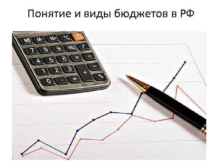 Понятие и виды бюджетов в РФ 