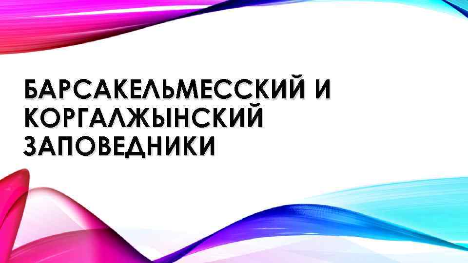 Заповедник барсакельмес презентация