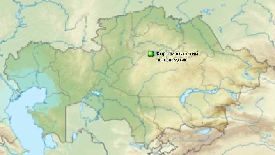 Коргалжынский заповедник 