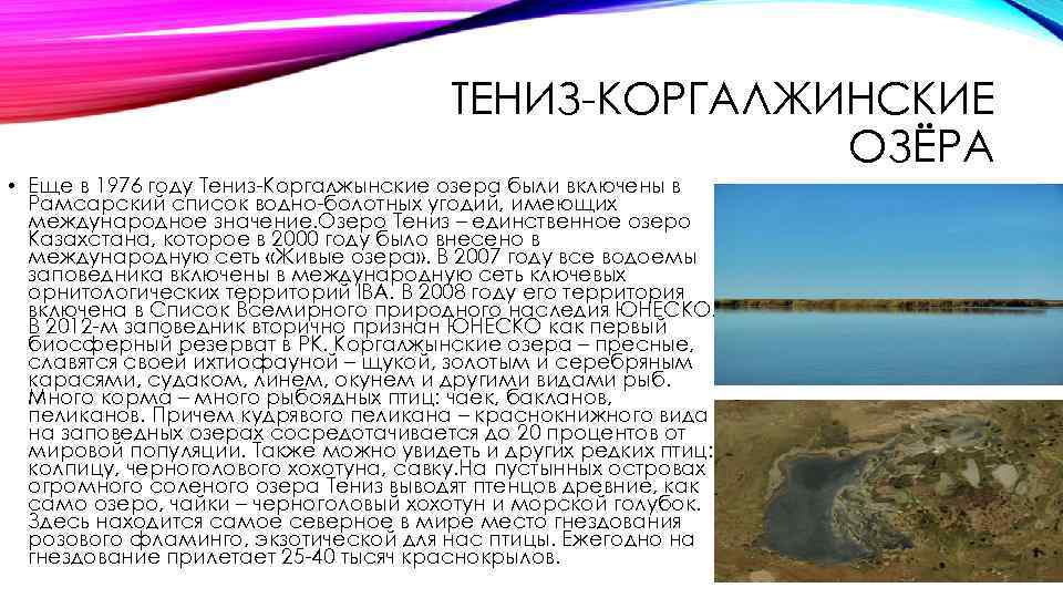 ТЕНИЗ-КОРГАЛЖИНСКИЕ ОЗЁРА • Еще в 1976 году Тениз-Коргалжынские озера были включены в Рамсарский список