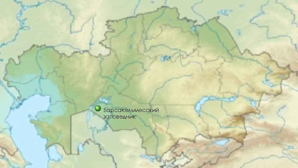 Барсакельмесский заповедник 