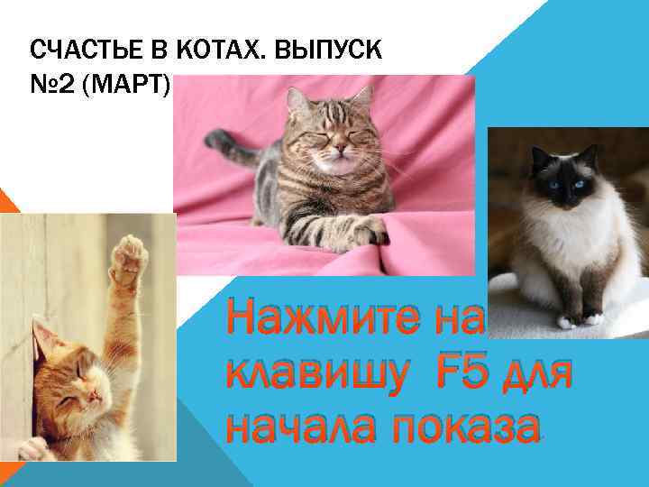 СЧАСТЬЕ В КОТАХ. ВЫПУСК № 2 (МАРТ) Начать. Нажмите на клавишу F 5 для