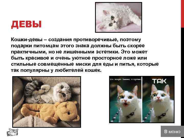 ДЕВЫ Кошки-девы – создания противоречивые, поэтому подарки питомцам этого знака должны быть скорее практичными,