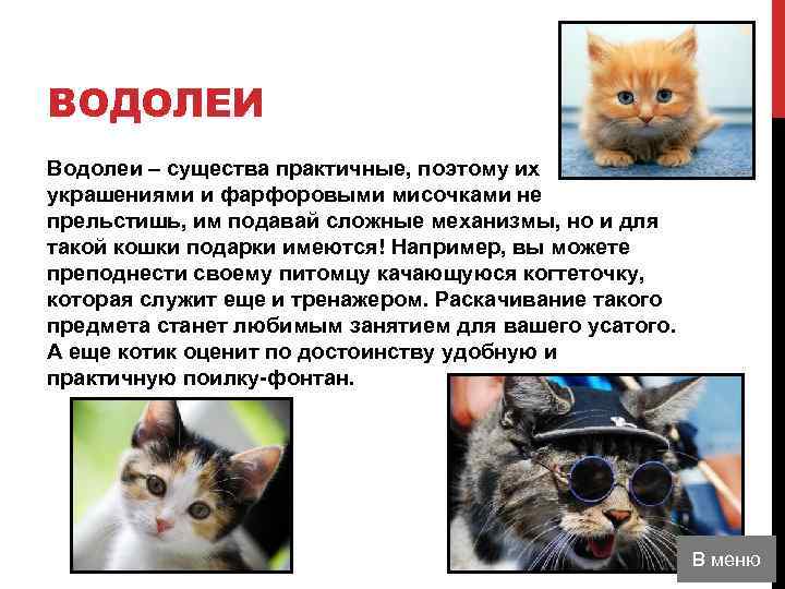 ВОДОЛЕИ Водолеи – существа практичные, поэтому их украшениями и фарфоровыми мисочками не прельстишь, им