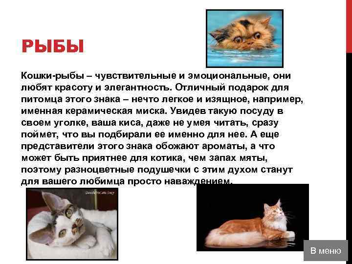 РЫБЫ Кошки-рыбы – чувствительные и эмоциональные, они любят красоту и элегантность. Отличный подарок для