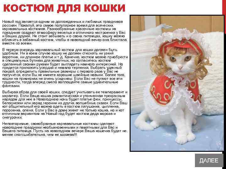 КОСТЮМ ДЛЯ КОШКИ Новый год является одним из долгожданных и любимых праздников россиян. Пожалуй,