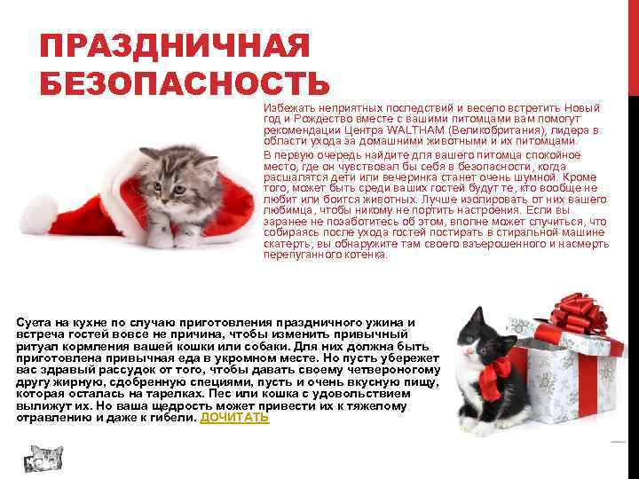 ПРАЗДНИЧНАЯ БЕЗОПАСНОСТЬ Избежать неприятных последствий и весело встретить Новый год и Рождество вместе с